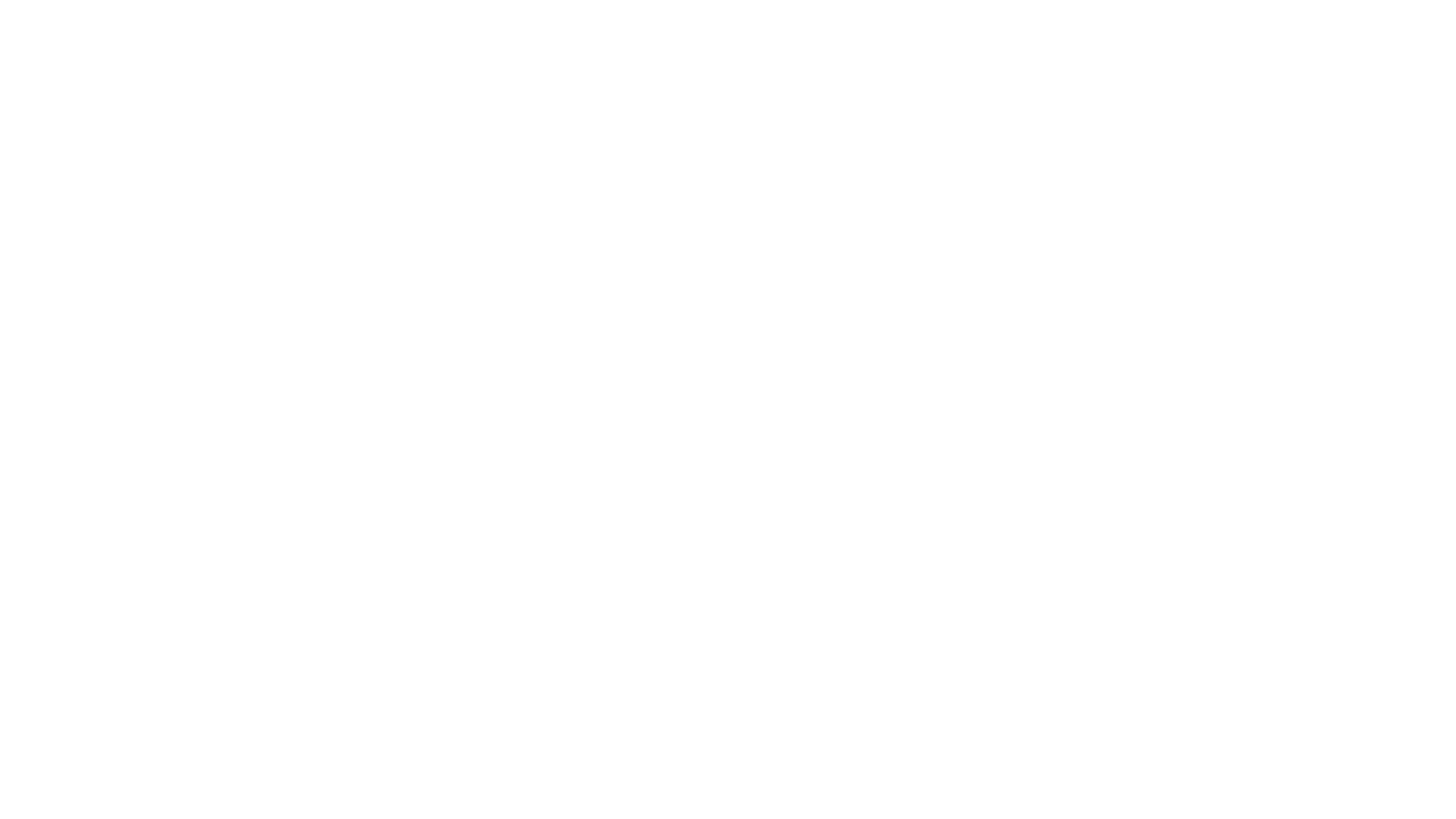 Bana Borges